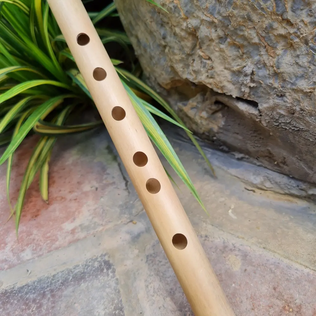 sg-11134201-23020-8tcimponhbnvfa