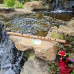 Sáo Dizi Việt VS5 Nứa Bắc