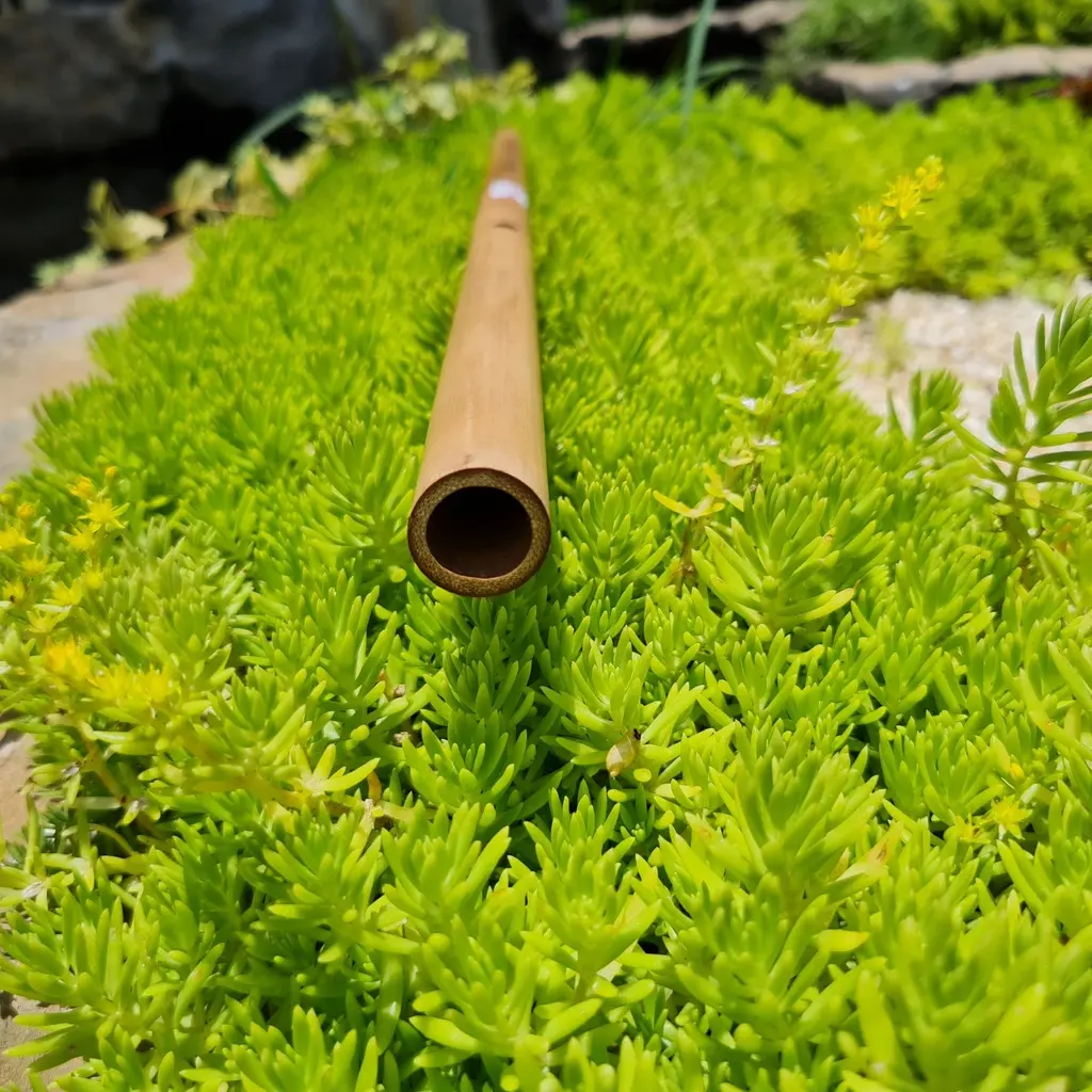 sg-11134201-23020-pm7t3i9ucanv77