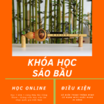 Khóa Học Sáo Bầu ( đang cập nhật…..)