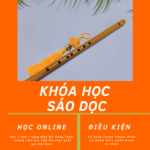 Khóa Học Sáo Dọc ( đang cập nhật…..)