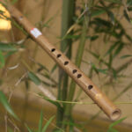 Dòng Sáo VS3 Nứa Bắc